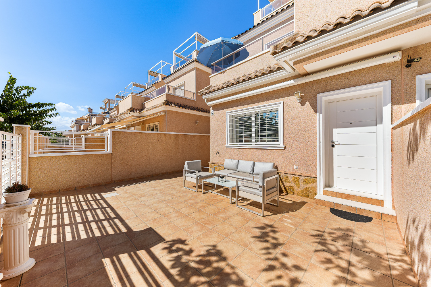 Gladiolo 52 - Pilar de Horadada (2).jpg