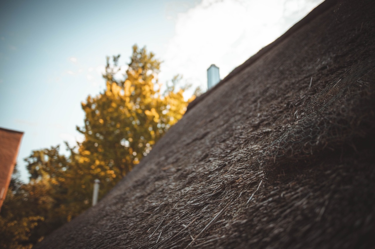 leonkl-2020-4235 Groß.jpeg