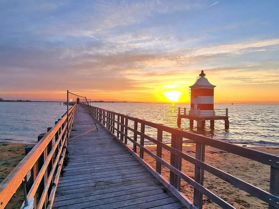 31-Immagine WhatsApp 2025-02-04 ore 18.07.57_69188d37.jpg