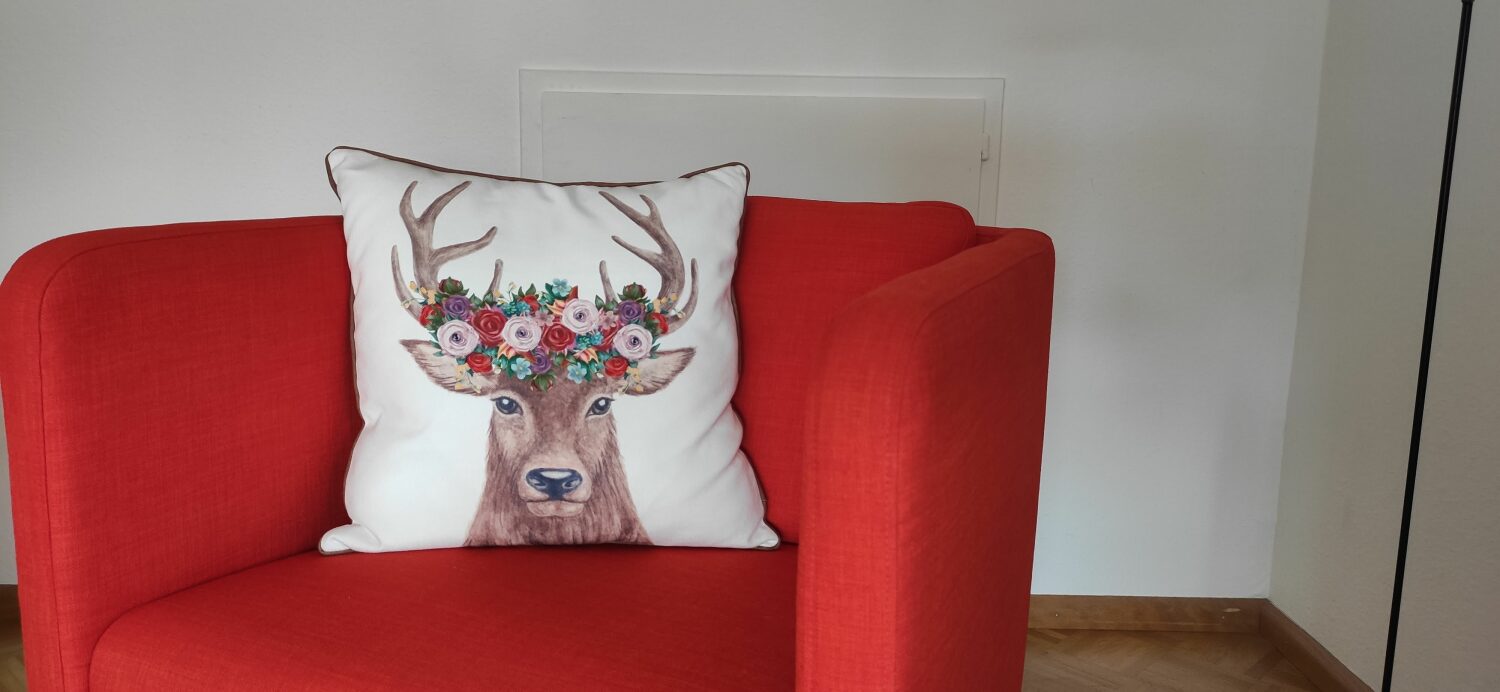 Fewo Belchenblick Schwarzwald Hirsch.jpg