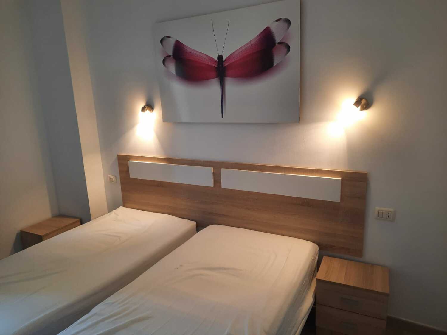 PHOTO-2024-03-06-16-21-31 (4).jpg