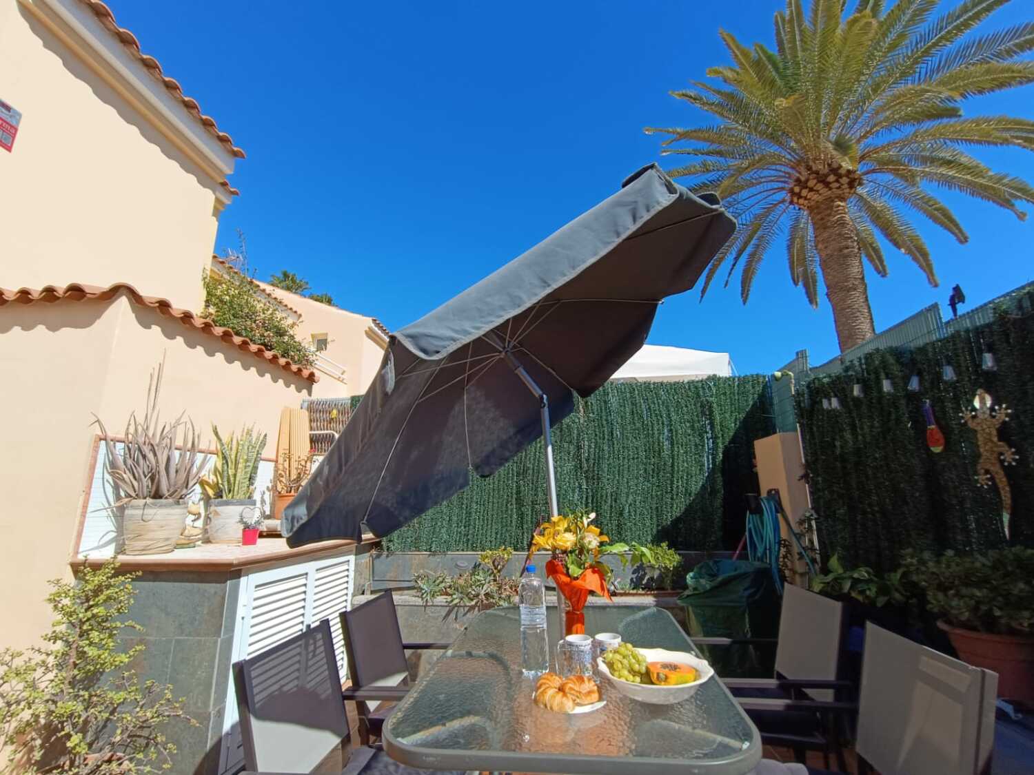 WhatsApp Image 2024-03-15 at 15.53.42 (3).jpeg