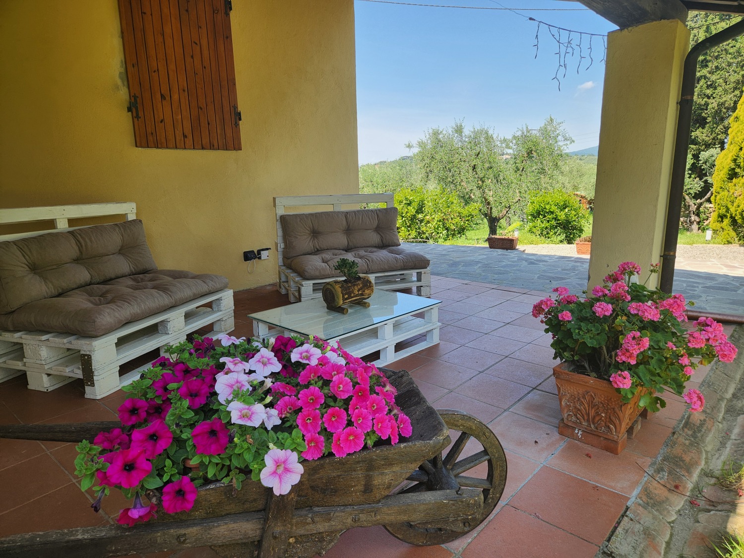 logggiato 20240514_115537.jpg