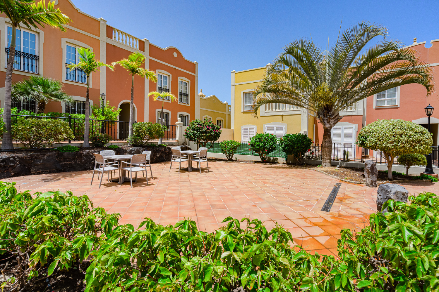 20240718 - 25 - Elfida K - Palm Mar-24.jpg