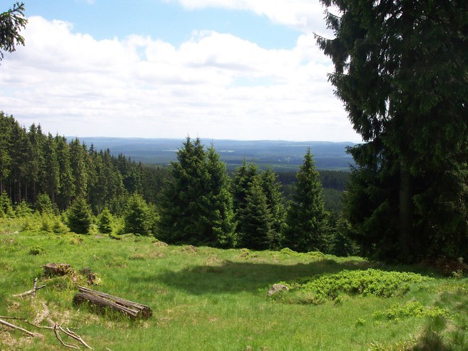 Braunlage-Harz-Fruehling-Sommer-Urlaub-B_8be18b8d2e.jpg