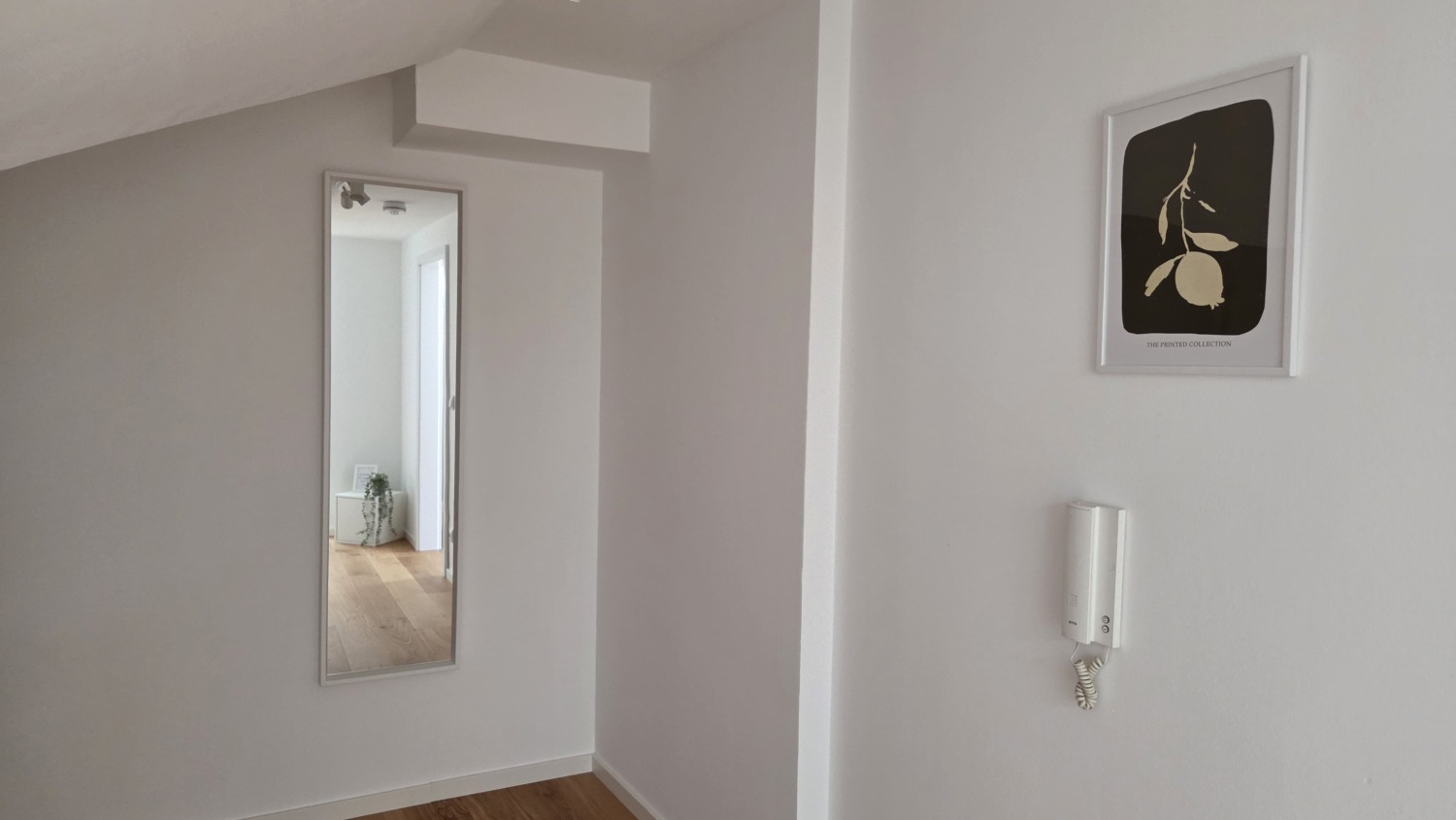 WhatsApp Image 2025-08-17 at 07.36.45.jpeg