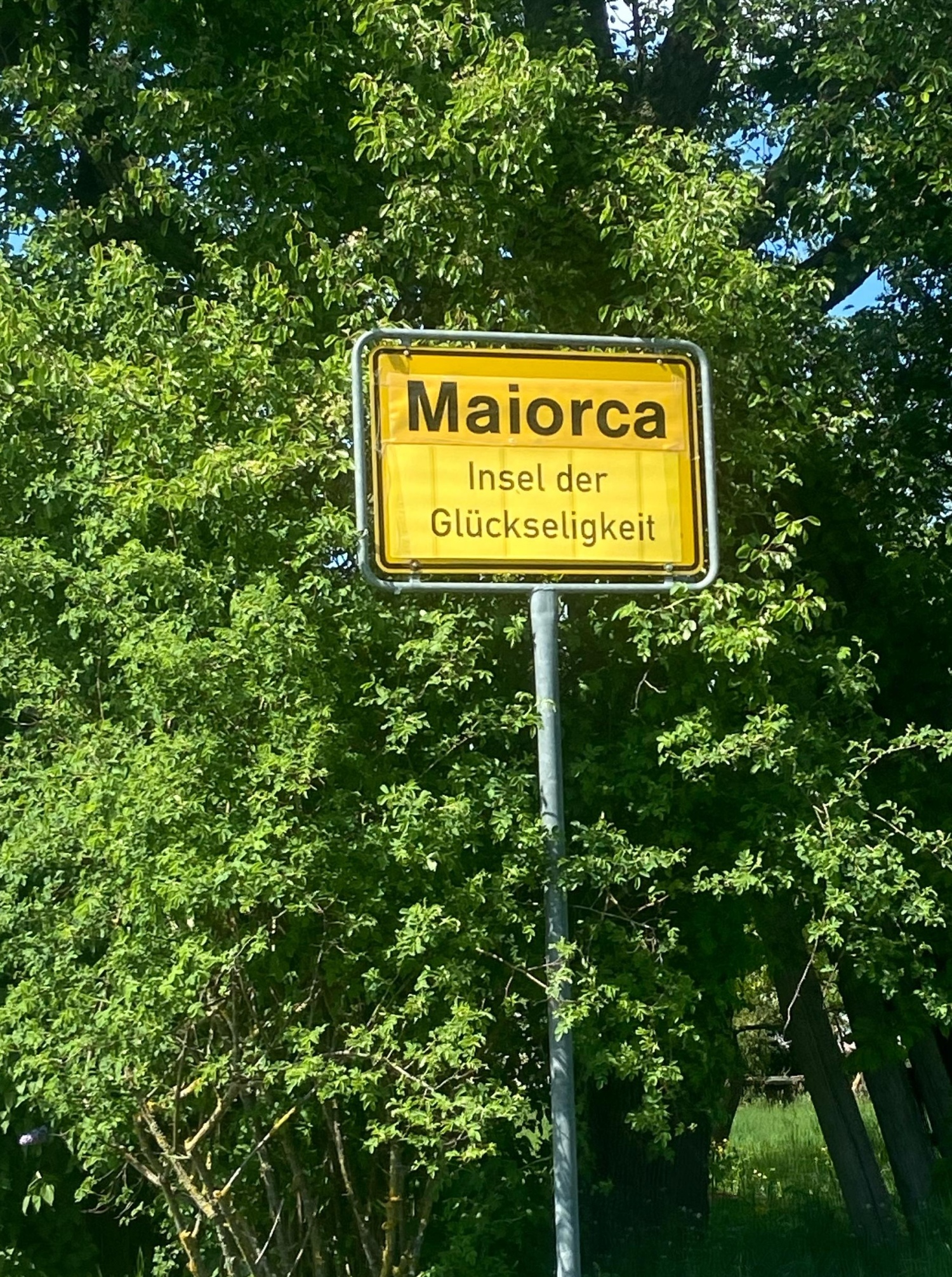 MAIORCA groß.JPG