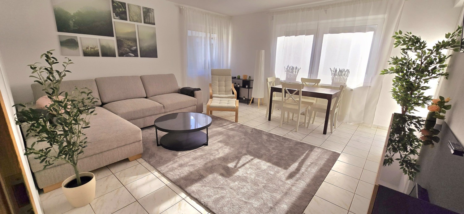 WhatsApp Image 2026-01-19 at 14.15.01 (1).jpeg