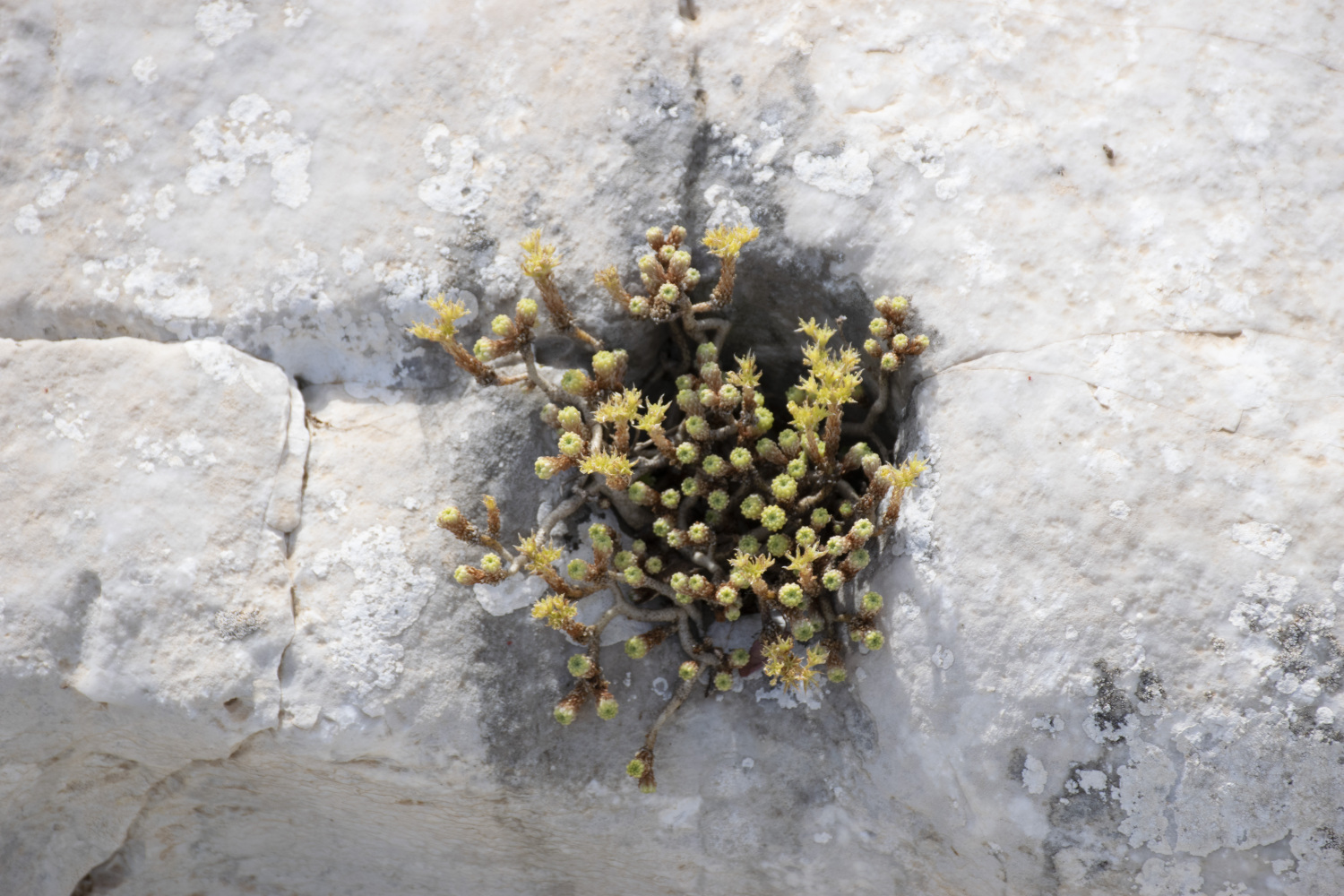 OUTSIDE AREA  (11).jpg