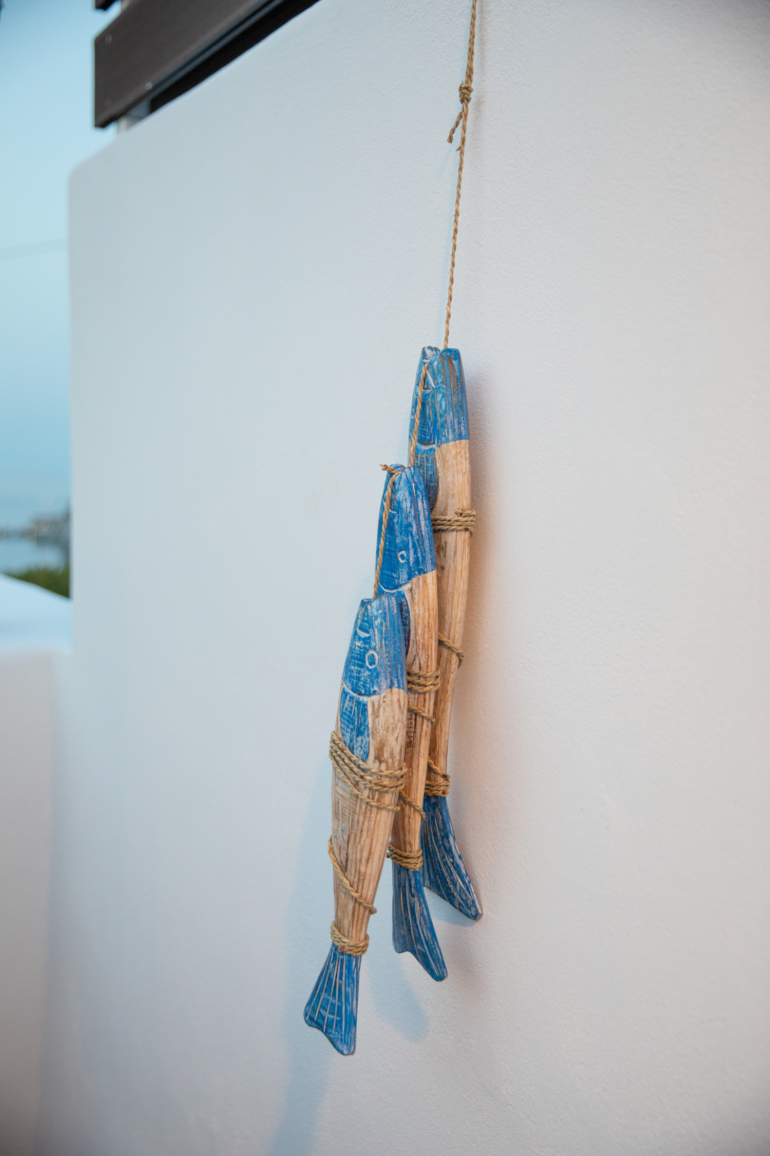 IMG_0083 reduced.jpg