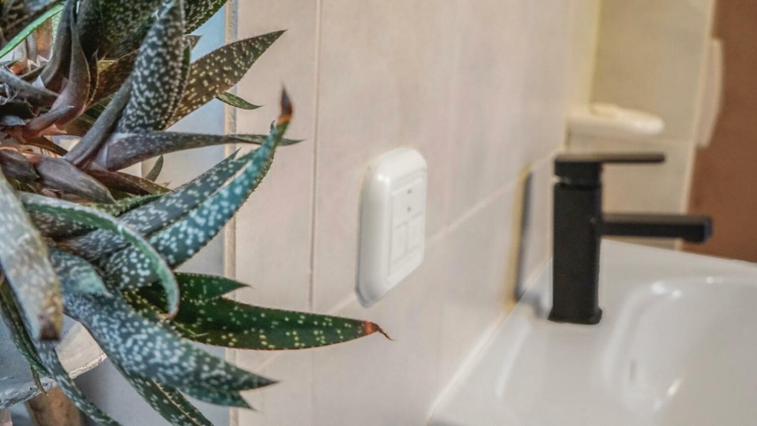 WhatsApp Image 2024-10-14 at 11.29.53(3).jpeg