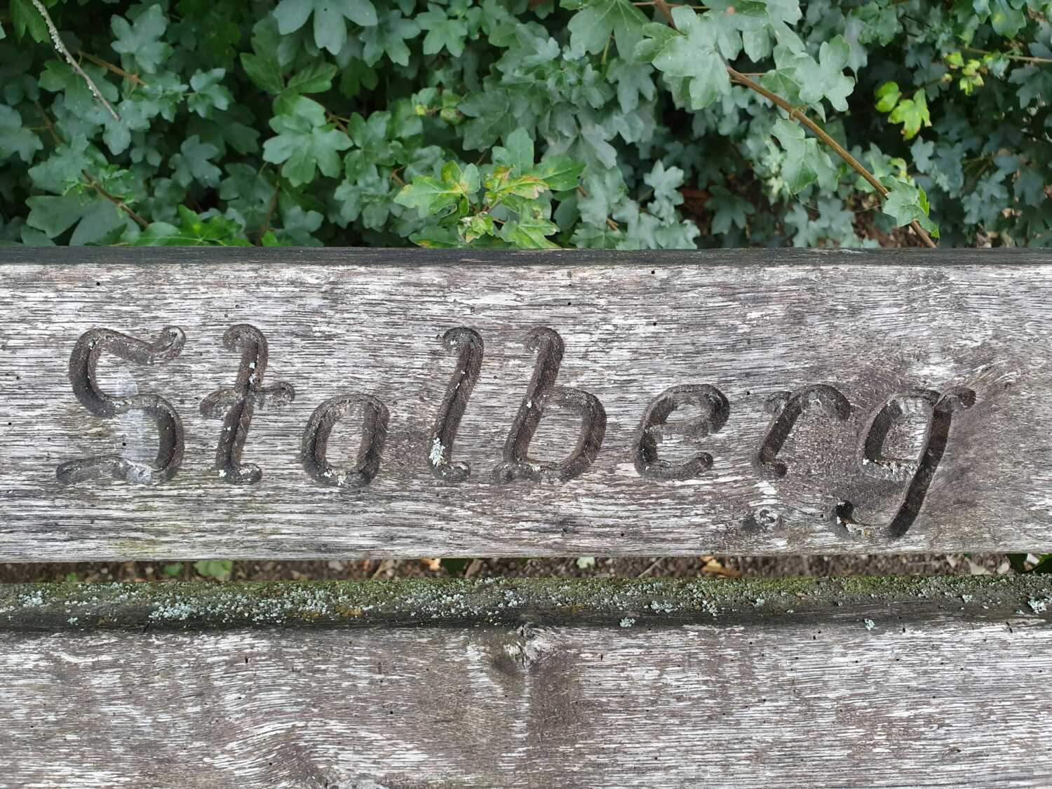 WhatsApp Image 2021-11-30 at 14.38.57 (1).jpeg