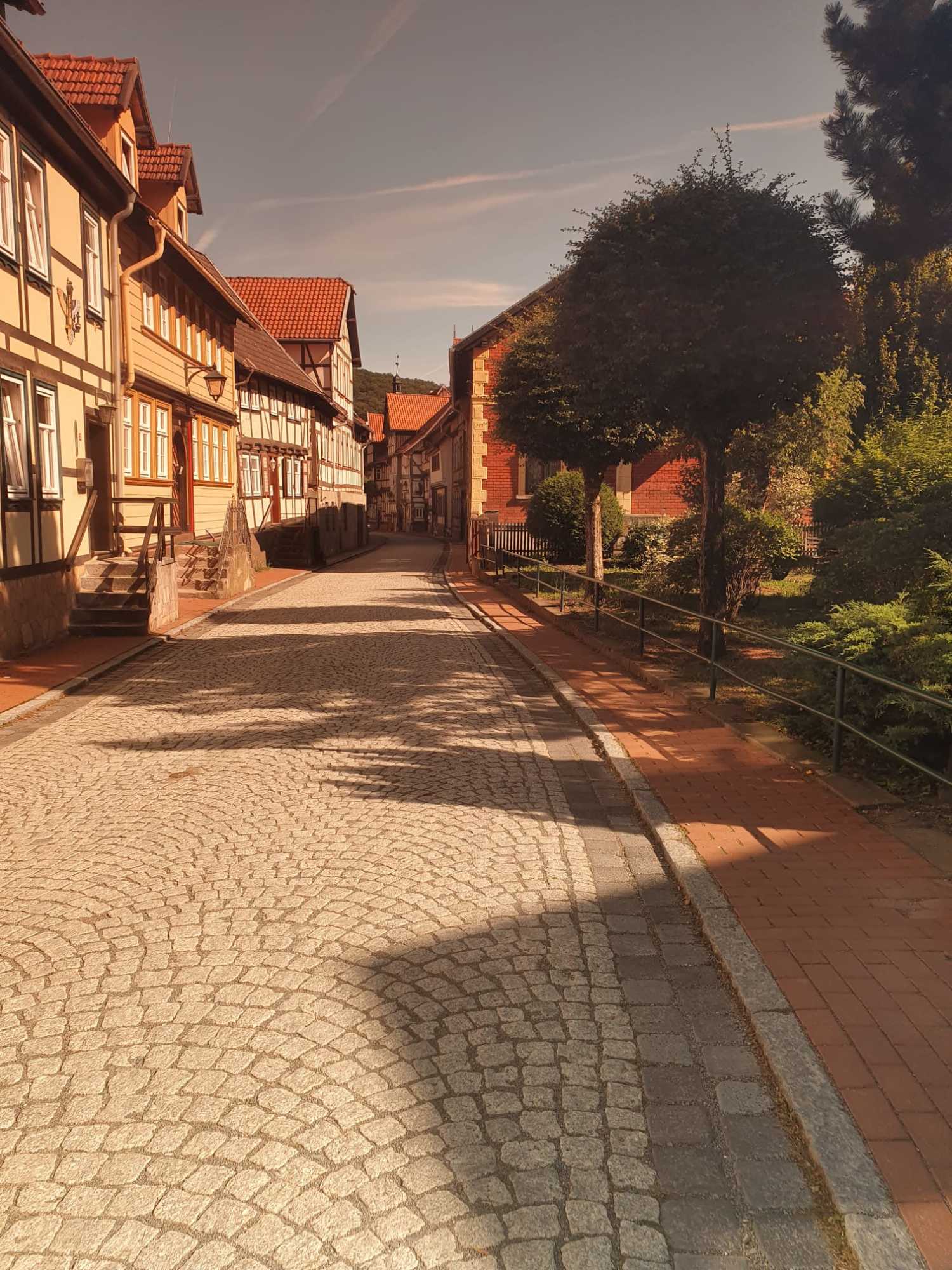 WhatsApp Image 2021-11-30 at 14.40.40.jpeg