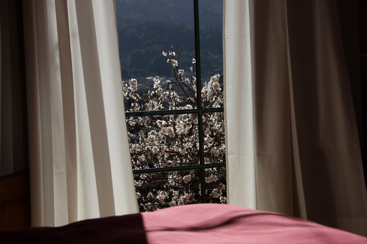 IMG_1230 (1280x853).jpg