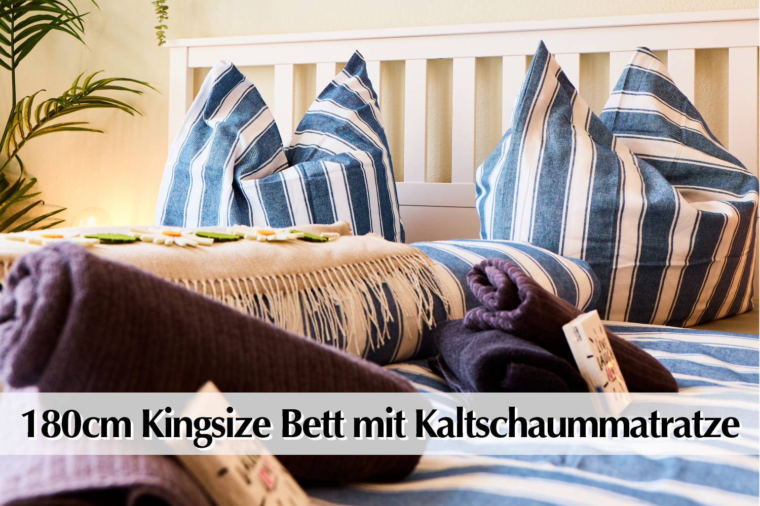 096 ©Thomas Abé.png