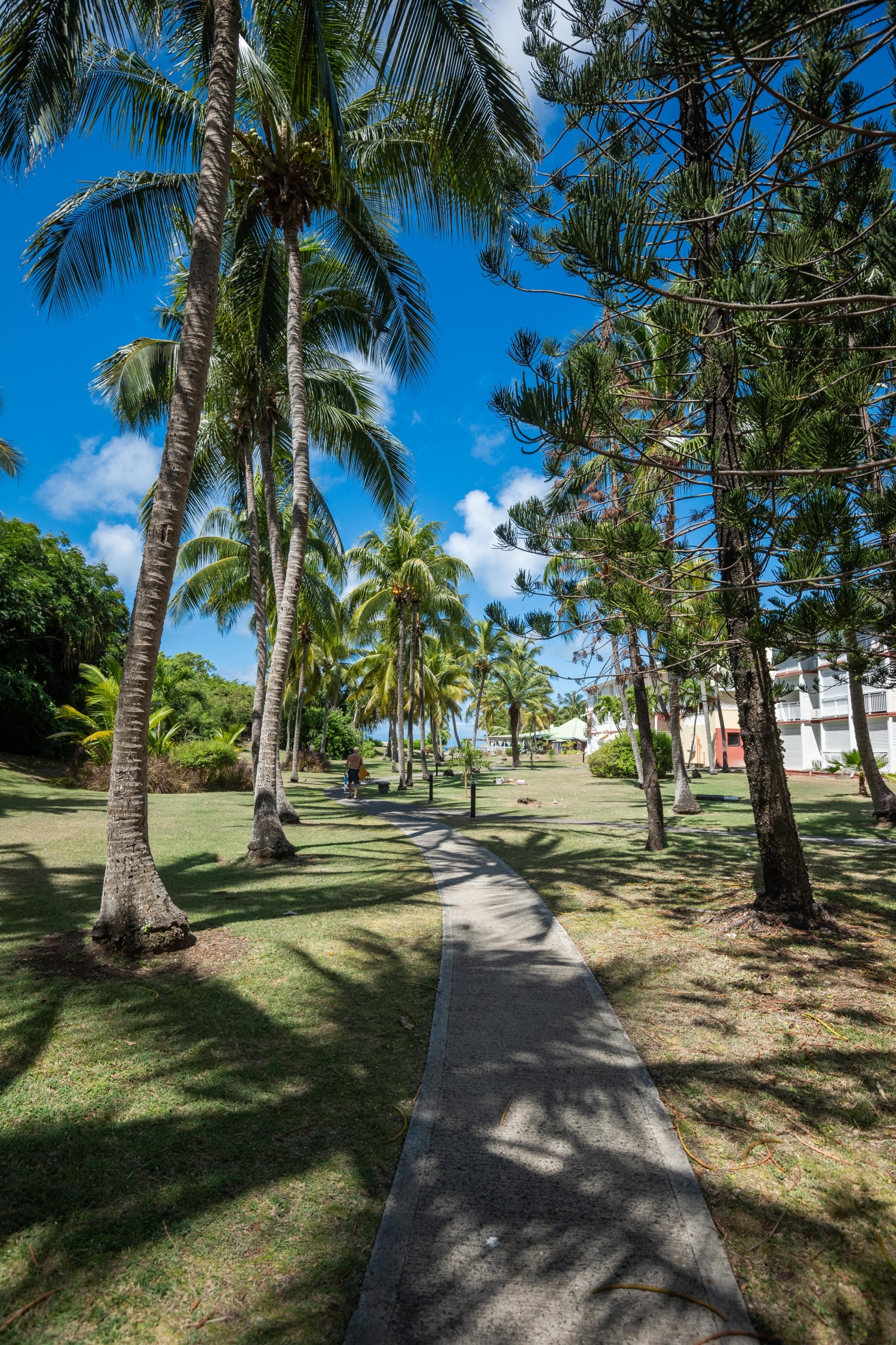 Studio Anse des Rochers 110424©JessicaLaguerre-0555.jpg