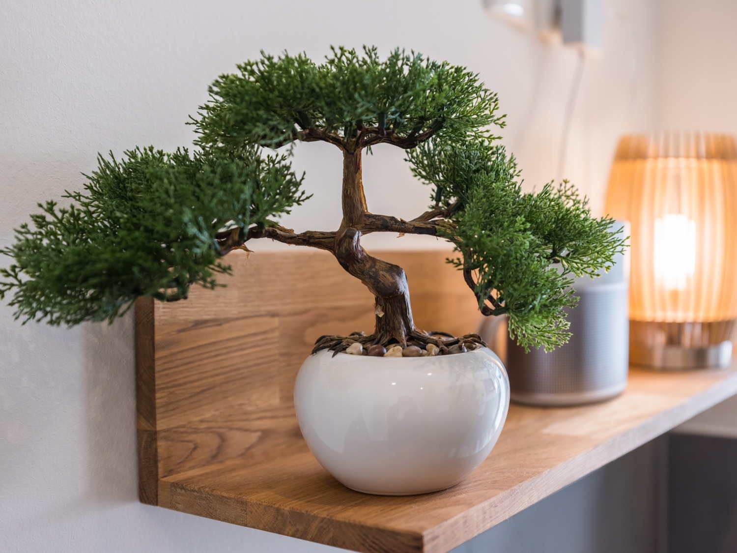 ©Friederike Hegner-2020-Naturundferienpark-Altdorfersee-Haus Eisvogel-Sauna-9 2.jpg