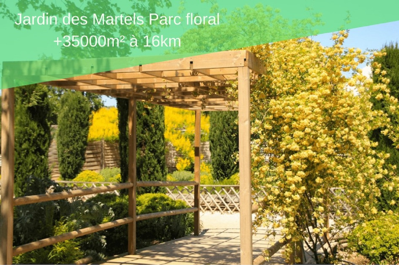 jardin_de_martels_cottage_bien_etre_du_tarn.jpg