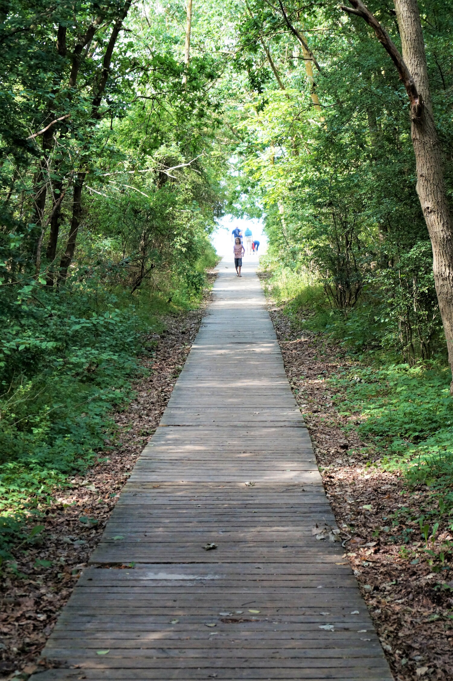 Weg zum Strand 2_final.jpg