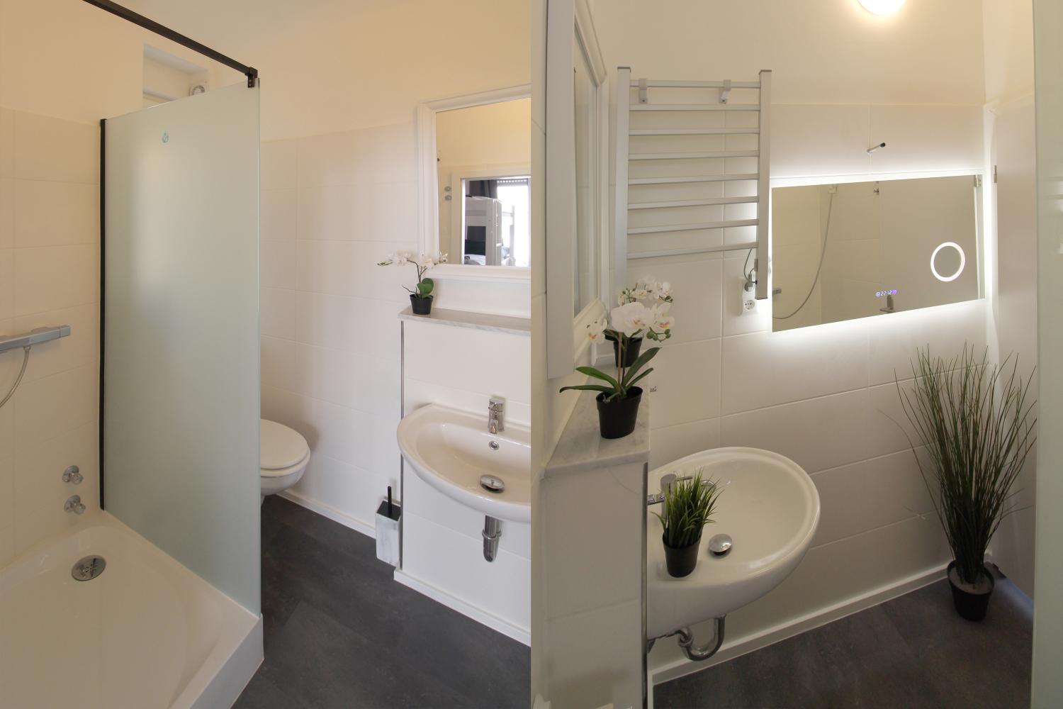 2025-04-12 - EG2 - bathroom merge_b.jpg