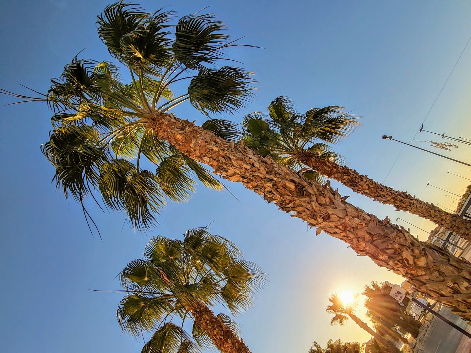 JMB Holiday Spain 6.jpg