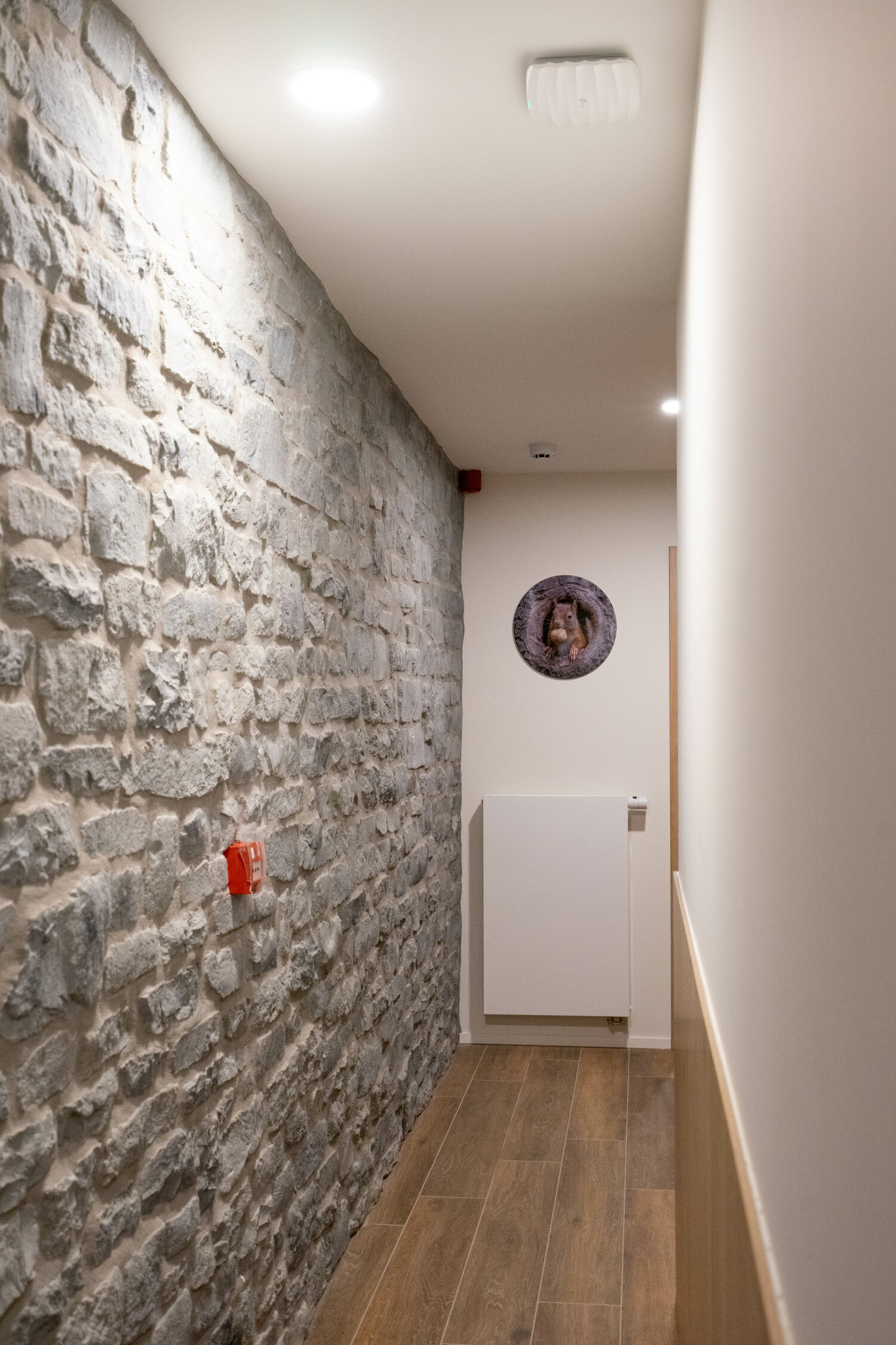 Bridge into the Nature Web-02961.jpg