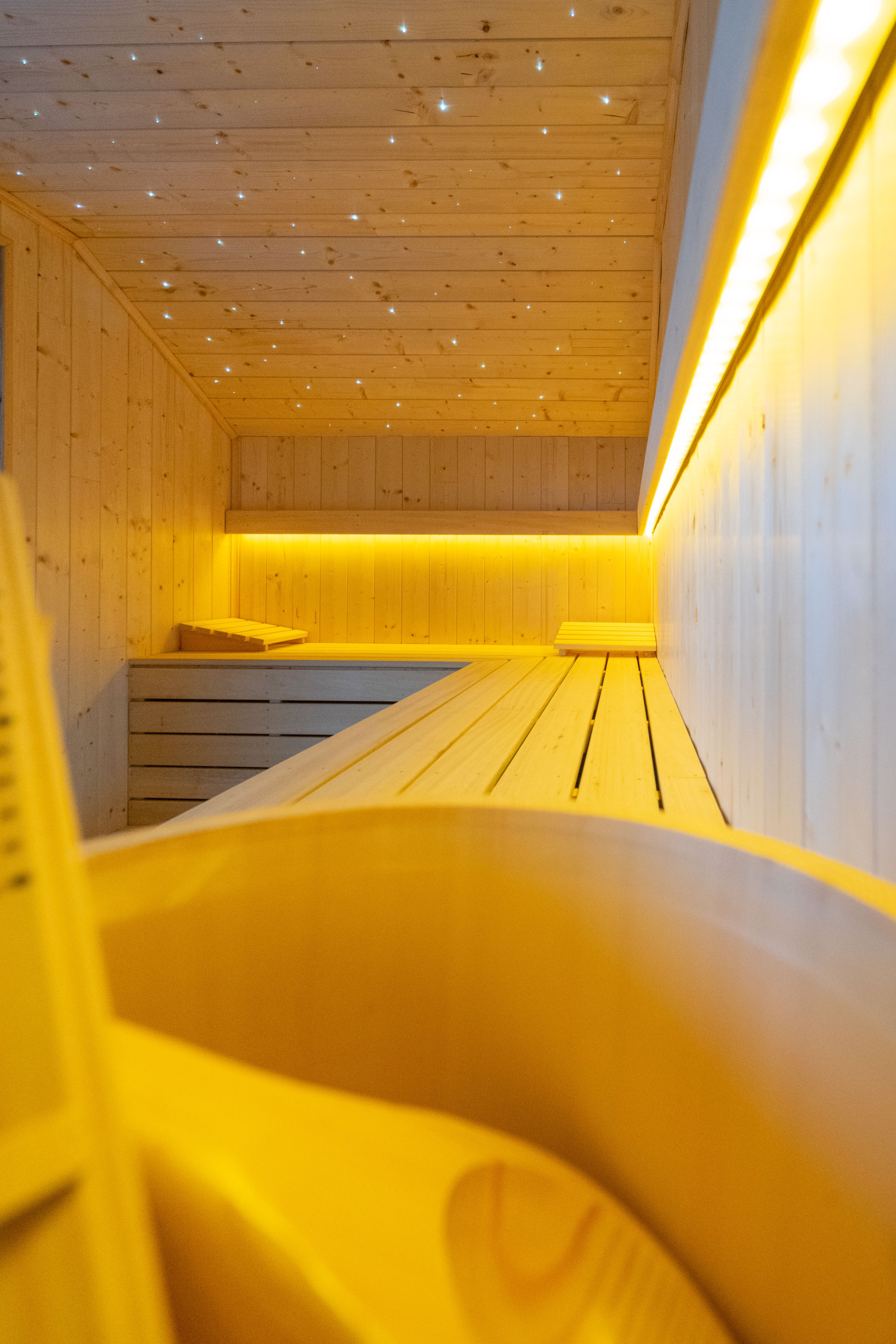 Bridge into the Nature Web-02882.jpg