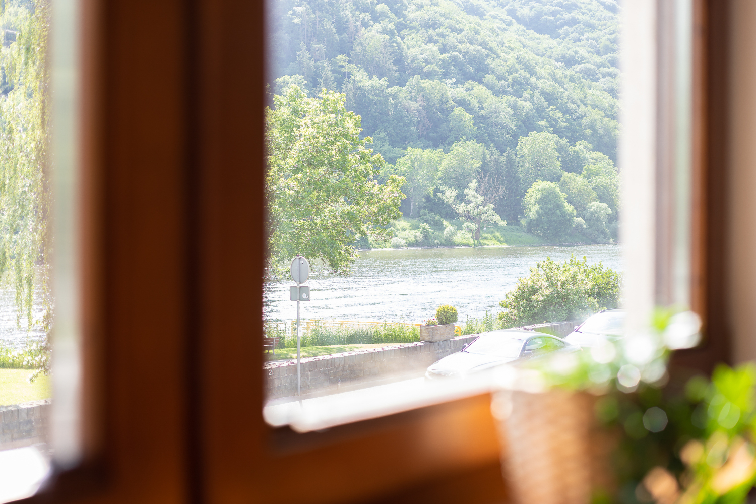 Moezel uitzicht vanaf woonkamer WEB 4.jpg