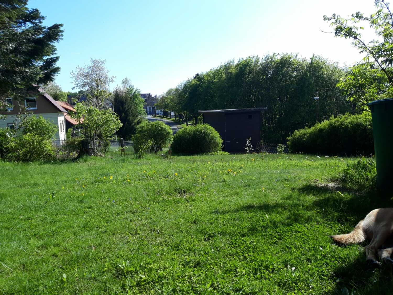 WhatsApp Bild 2023-12-02 um 11.55.50_d3f55384.jpg