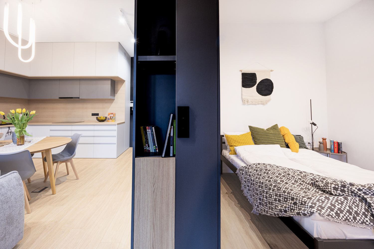 salon połączony z sypialnią.jpg