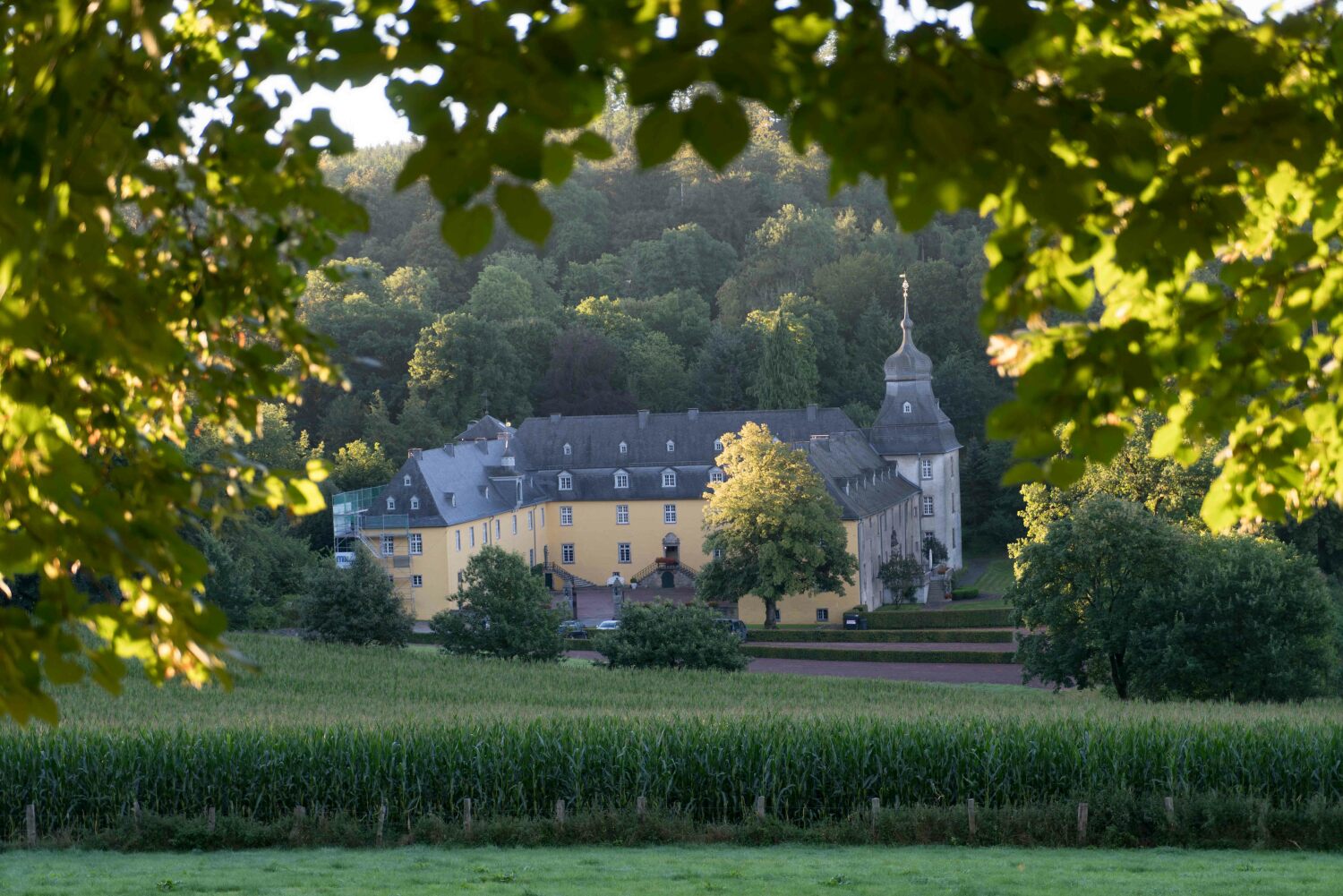 Schloss.jpg