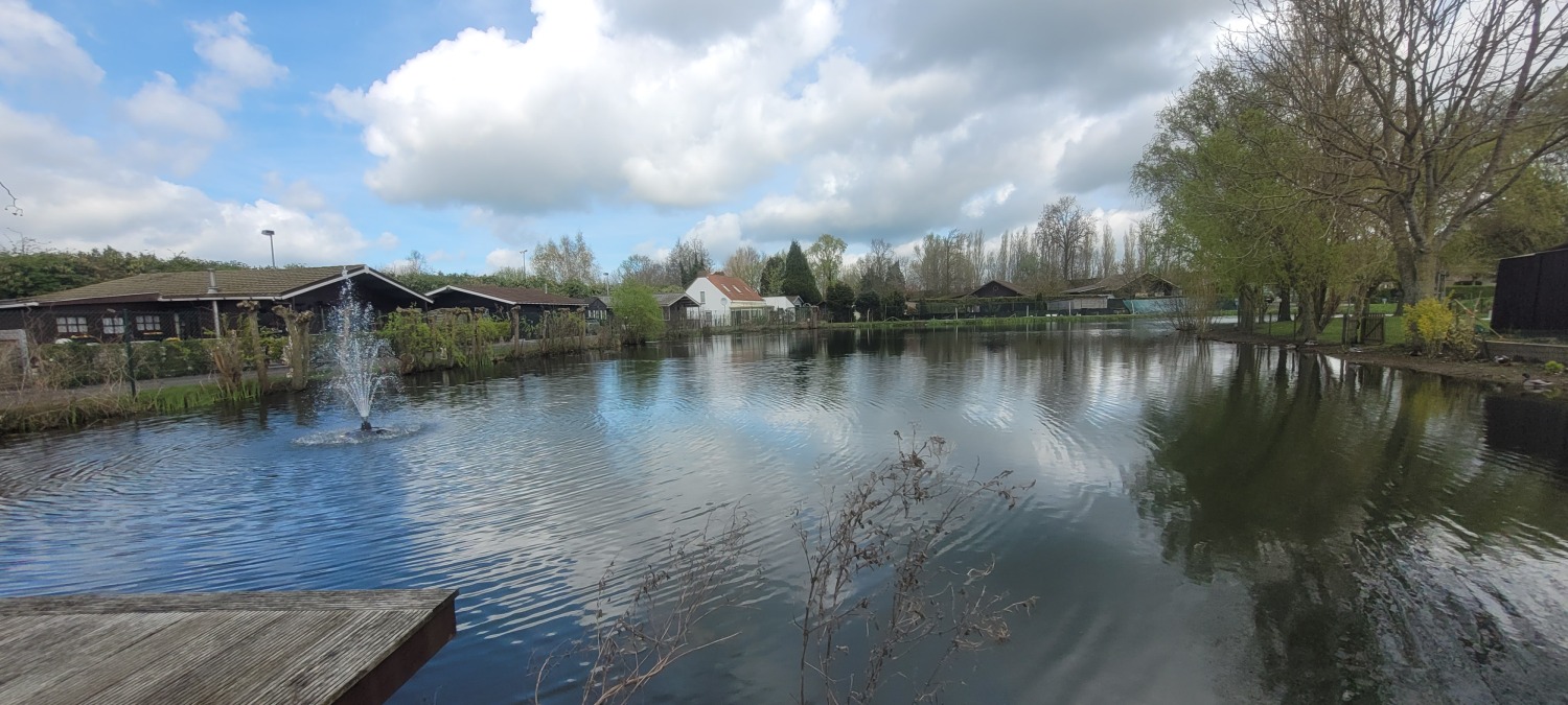 1 vijver 2.jpg