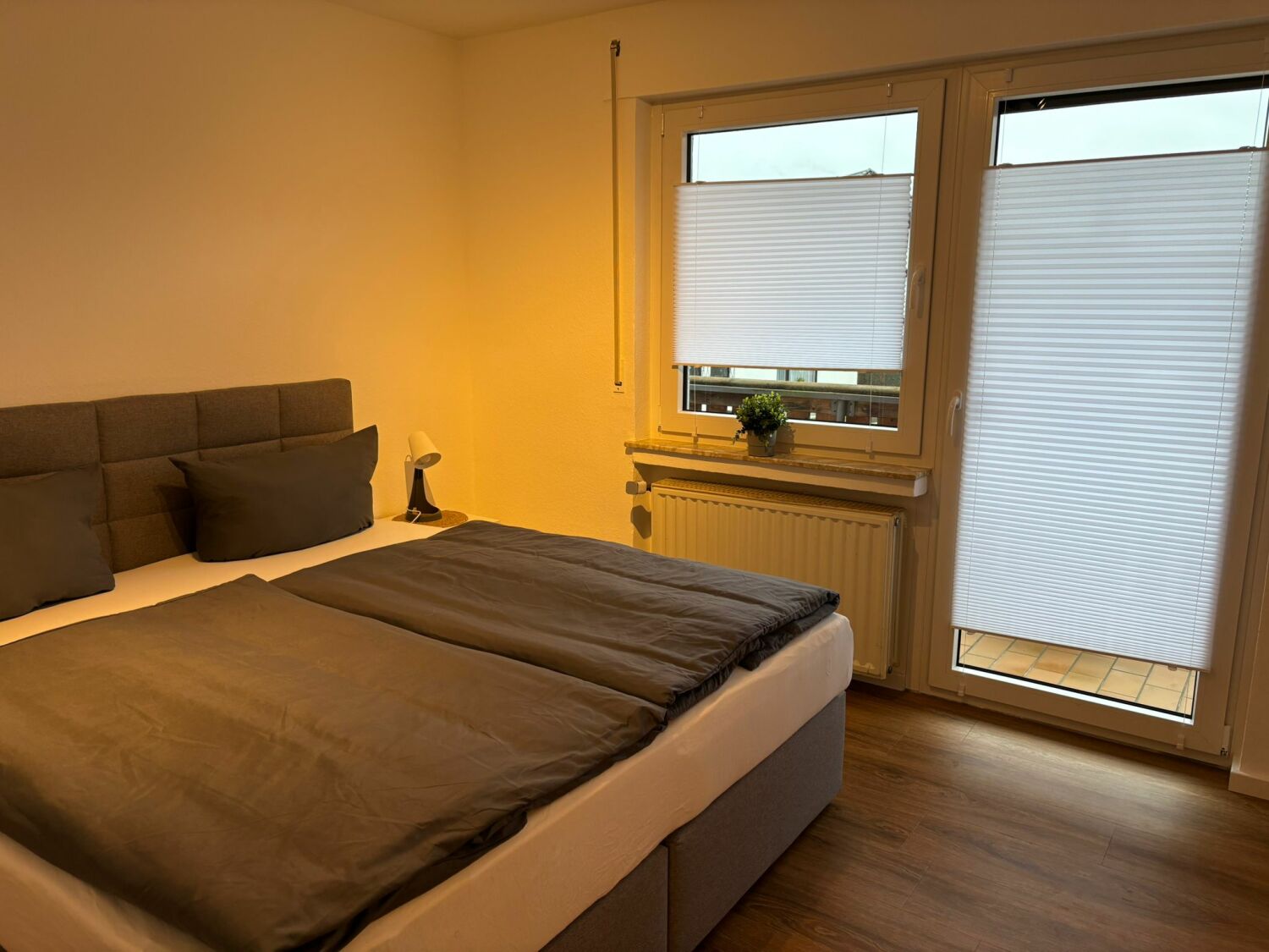 PHOTO-2025-01-05-17-48-30 8.jpg