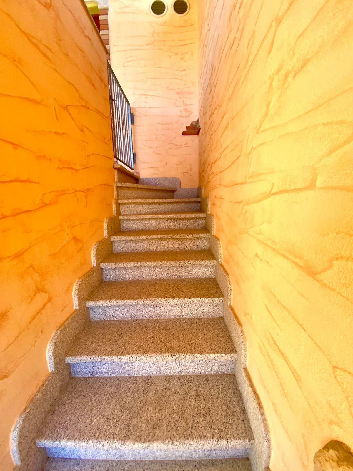 WhatsApp Image 2023-08-01 at 15.06.28.jpeg