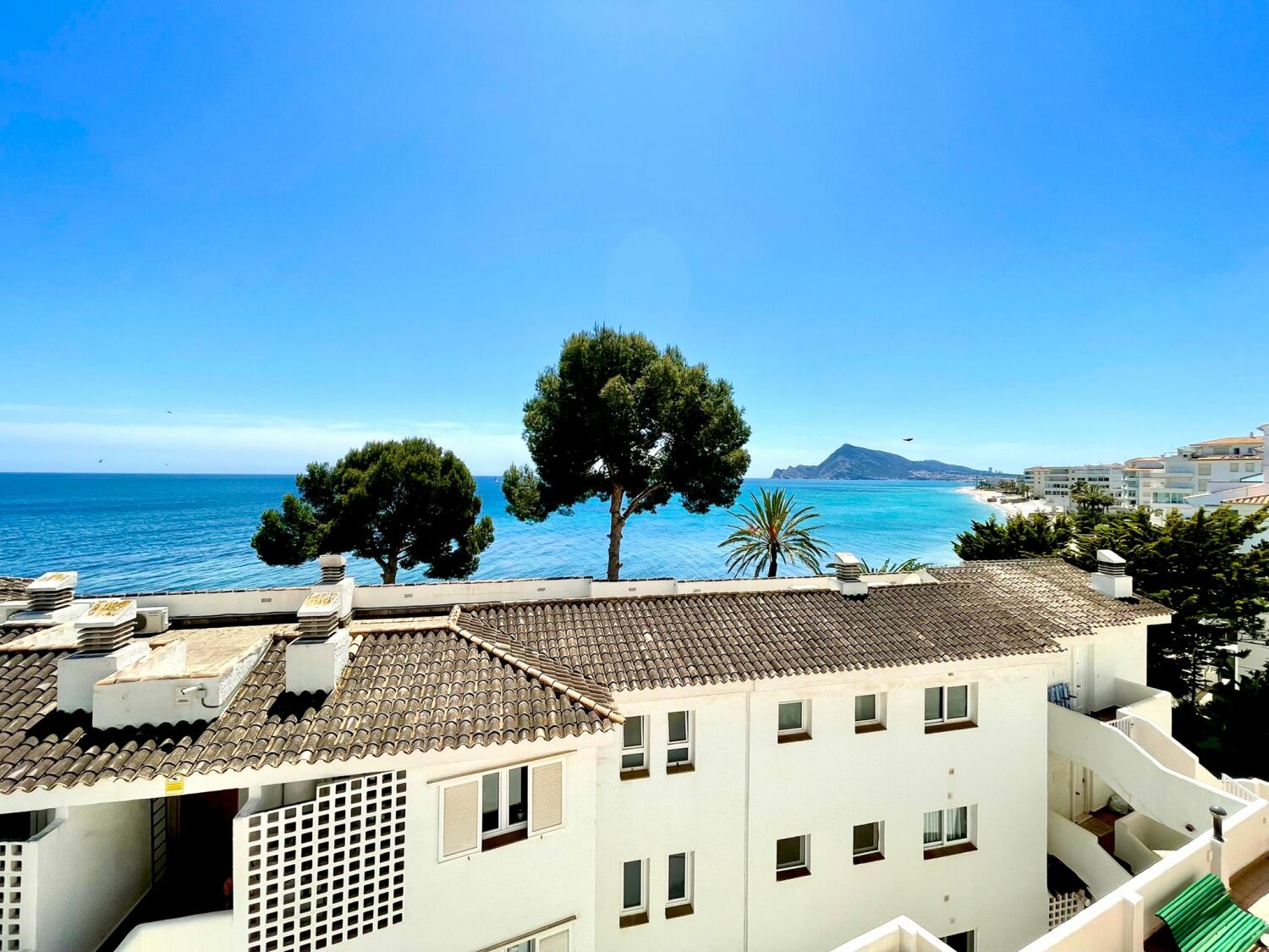 WhatsApp Image 2022-04-29 at 19.54.27.jpeg