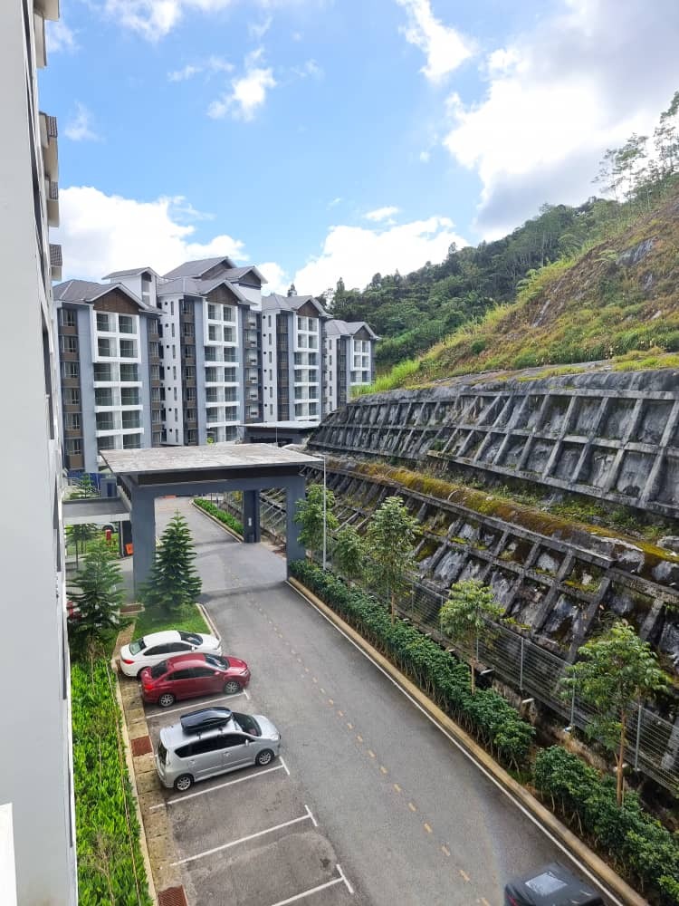 WhatsApp Image 2024-01-31 at 17.55.24.jpeg