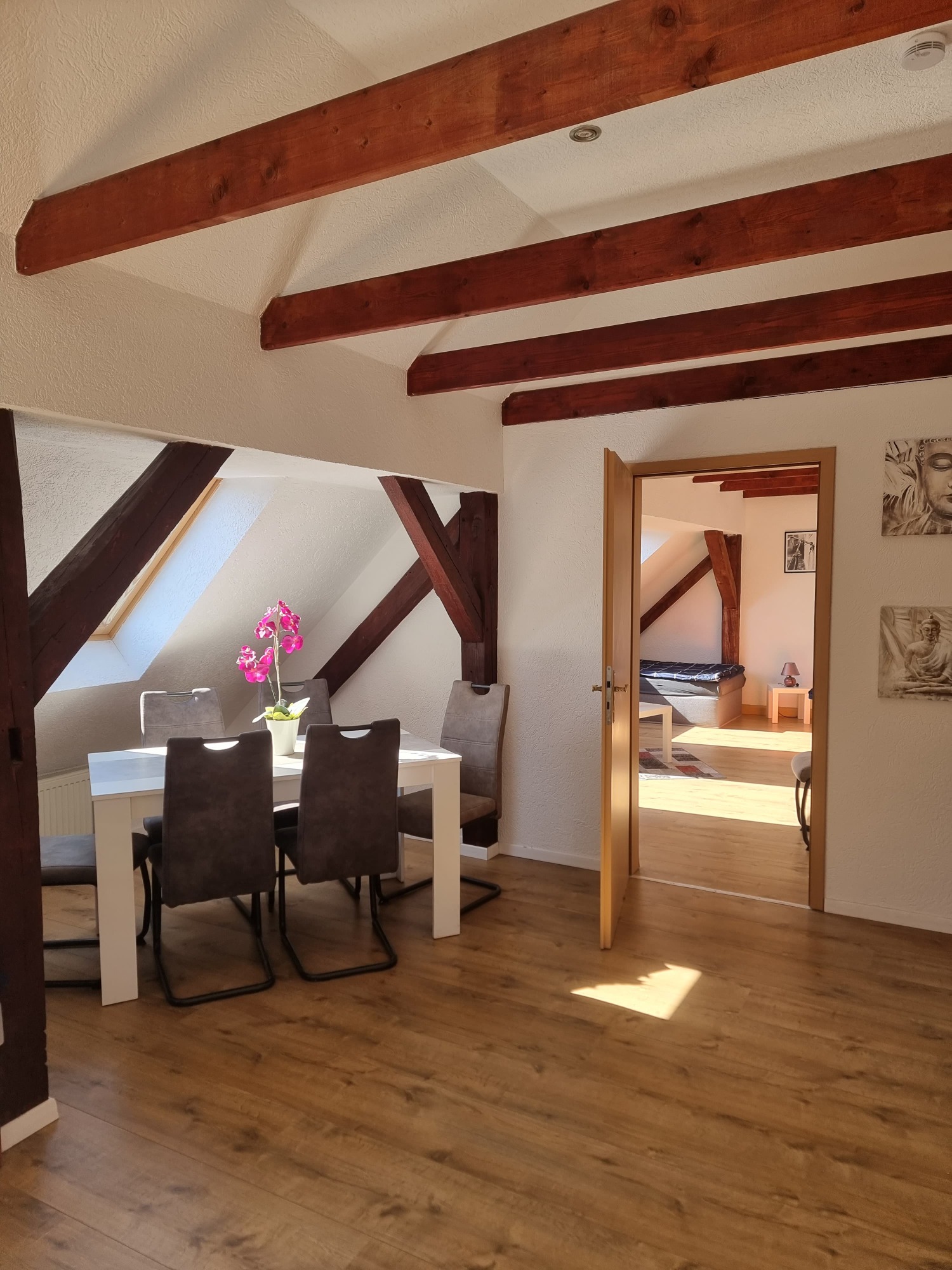 WhatsApp Image 2025-04-29 at 12.25.34 (1).jpeg