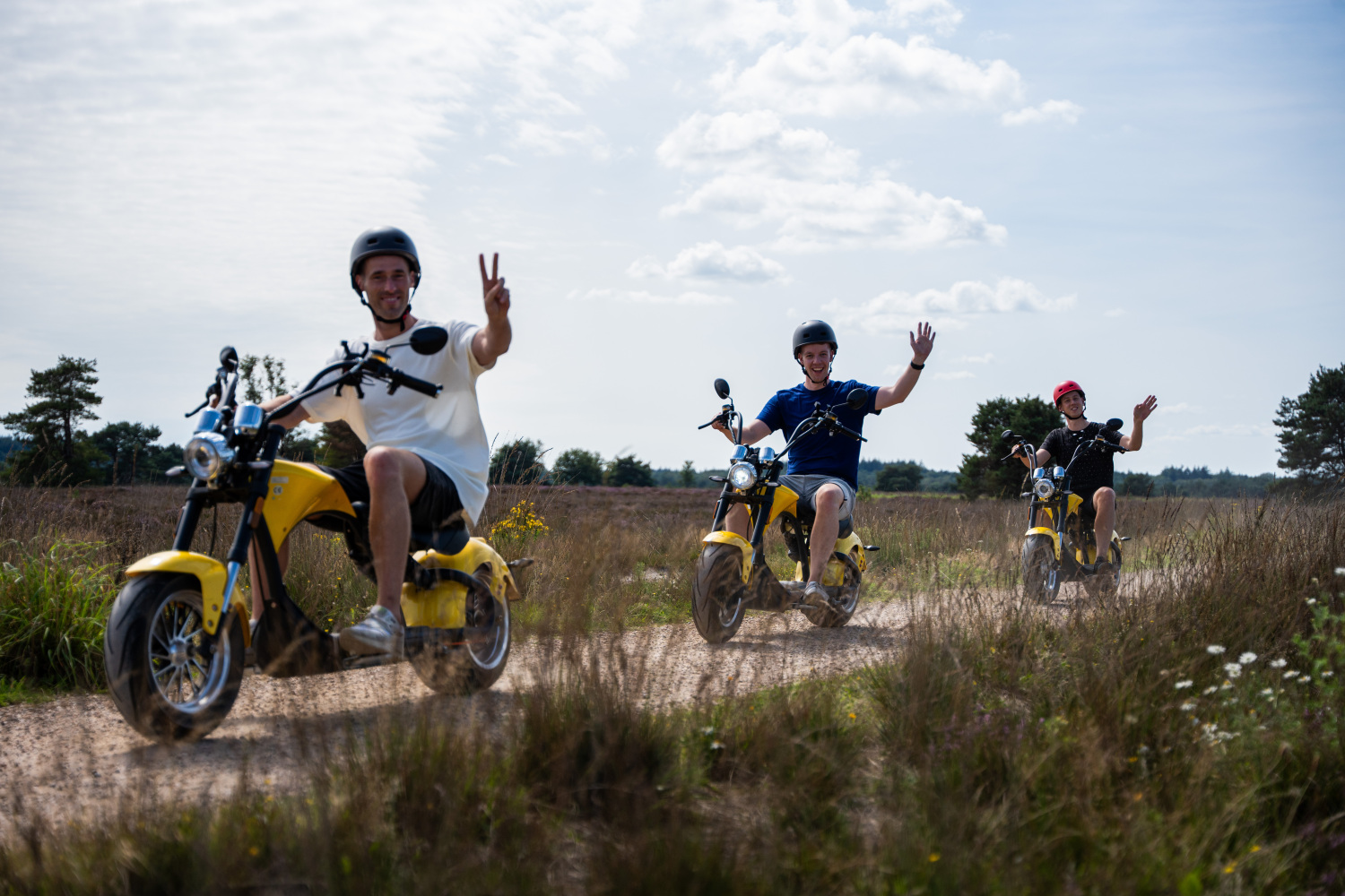 Veluwe Specialist-2.jpg