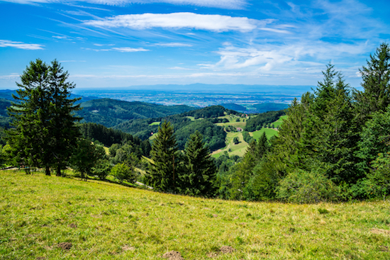 46 shutterstock_1493308874.jpg