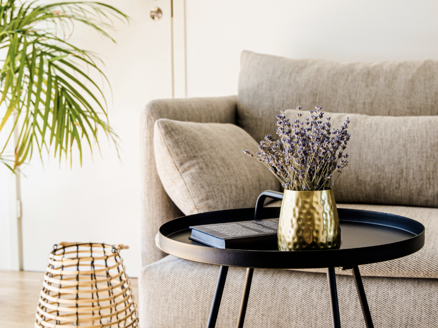 Bildschirmfoto 2024-12-28 um 11.55.27.png