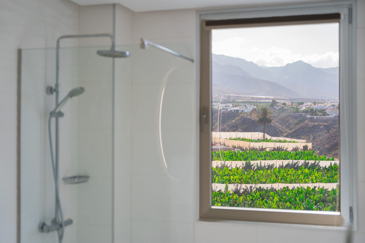 20230526 - 25 - Mi Paraiso - Playa Paraiso - FV+detalles-50.jpg