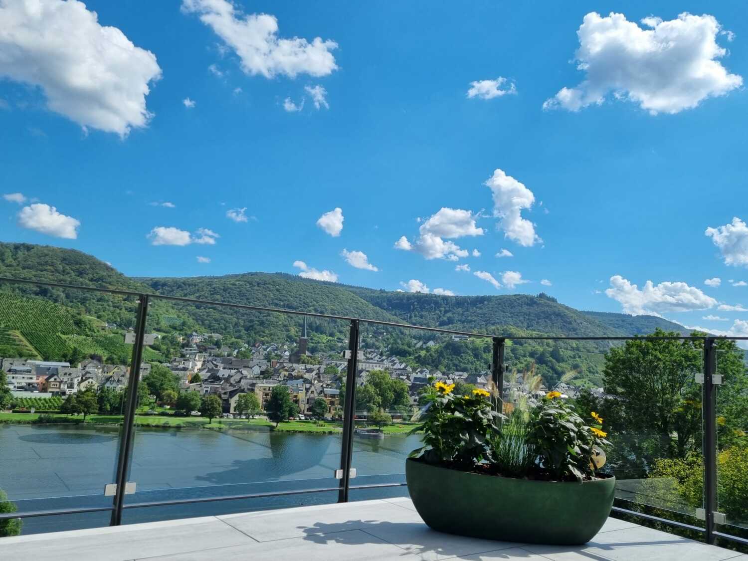 WhatsApp Image 2023-08-21 at 15.40.54.jpeg