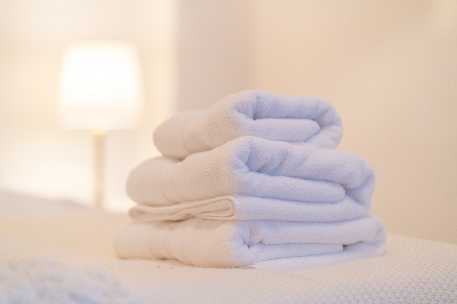 134 Clare Rd Cardiff CF11 6RW 081.jpg