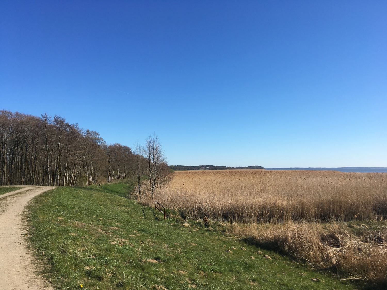 Deich zw Loddin und Koserow 02.jpeg