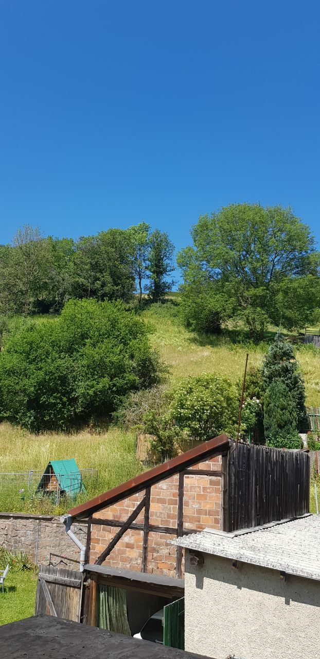 photo_2021-11-25 00.05.53.jpeg