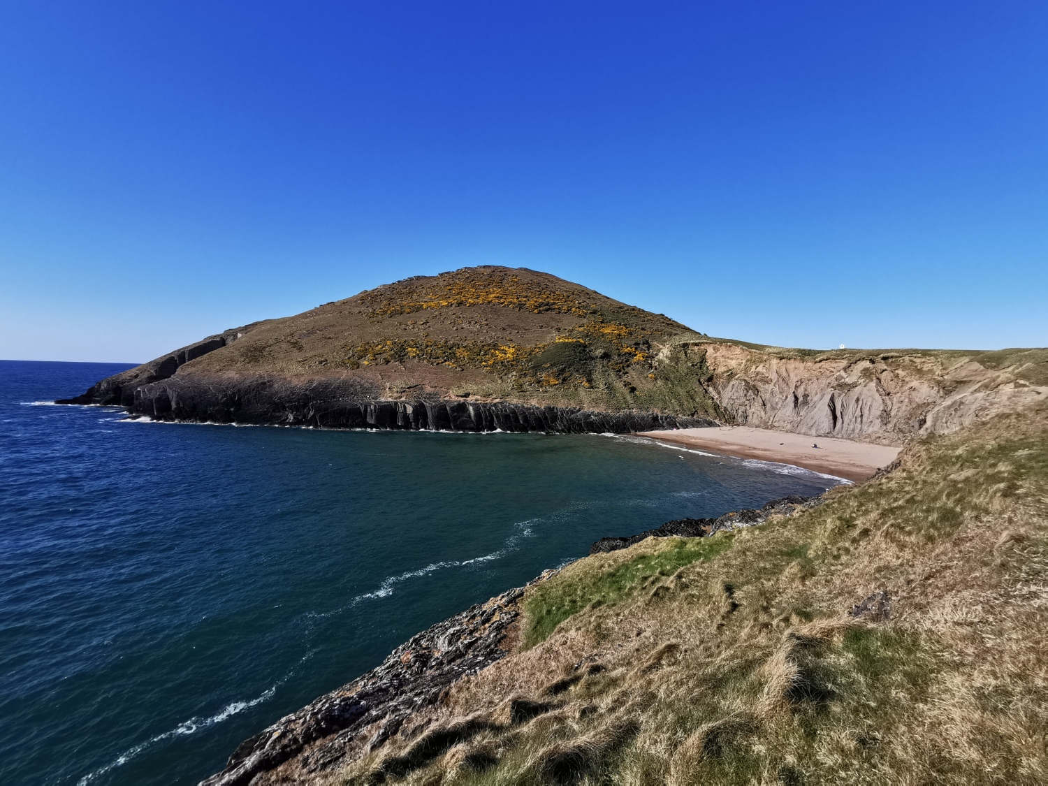 mwnt.jpg