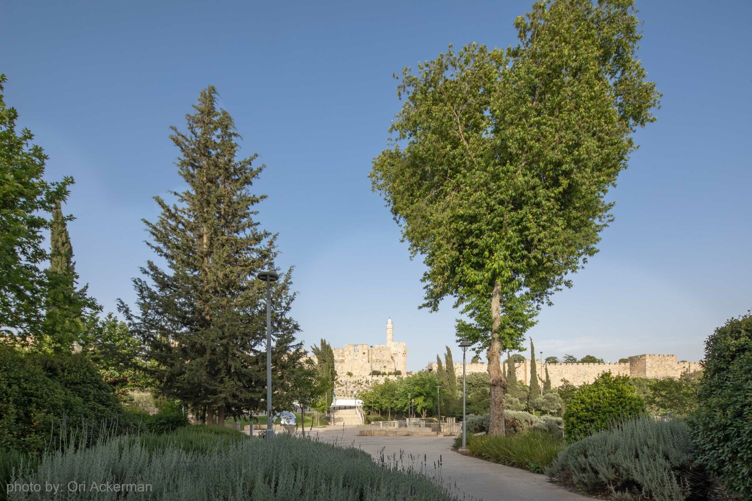 35--photo by Ori Ackerman ©.JPG