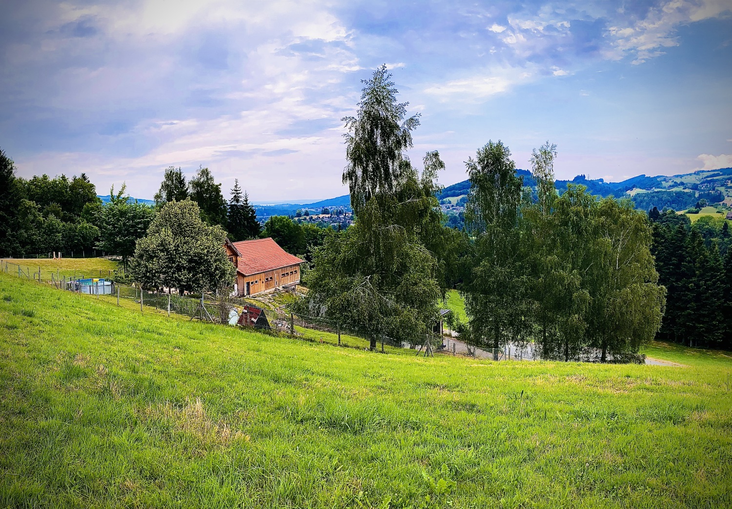 Foto 19.06.23, 17 56 38.jpg