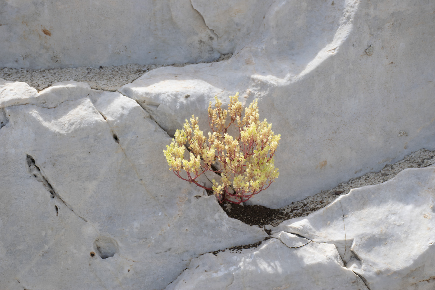 OUTSIDE AREA  (12).jpg