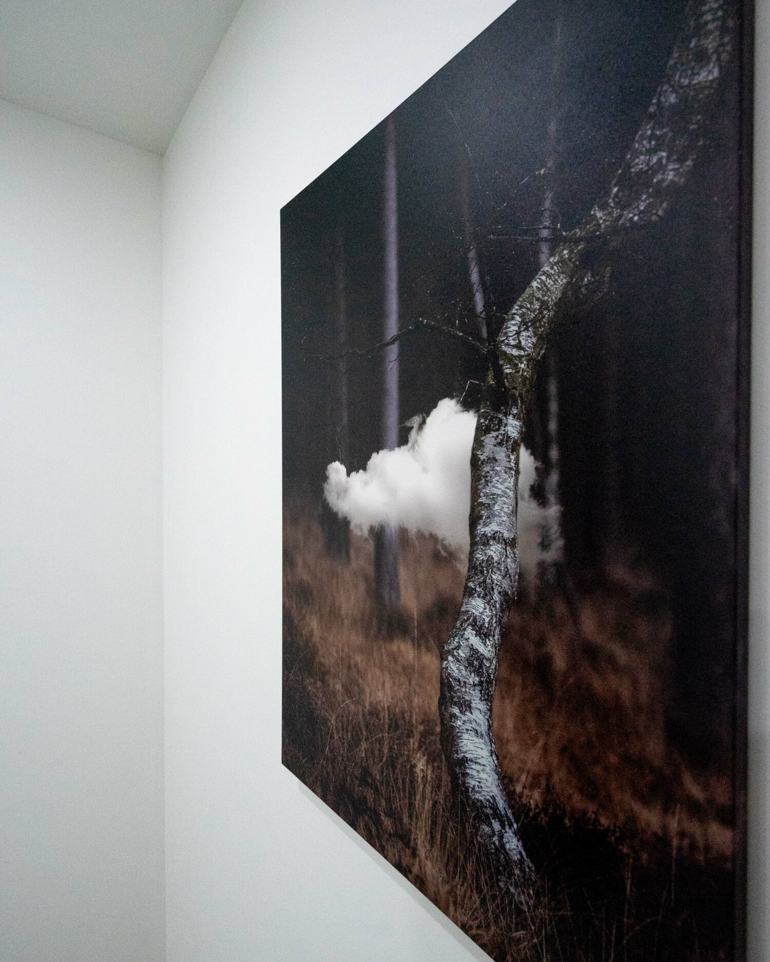 La Parenthèse WEB-01896.jpg